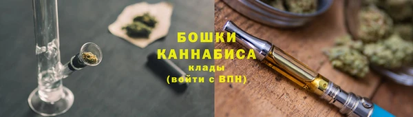 крисы Михайловск