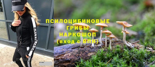 крисы Михайловск