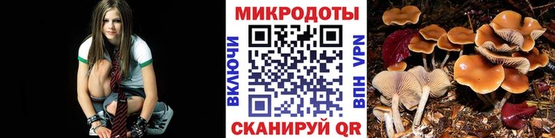 Галлюциногенные грибы мицелий Полярный